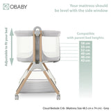 Cloud Bedside Crib - Grey